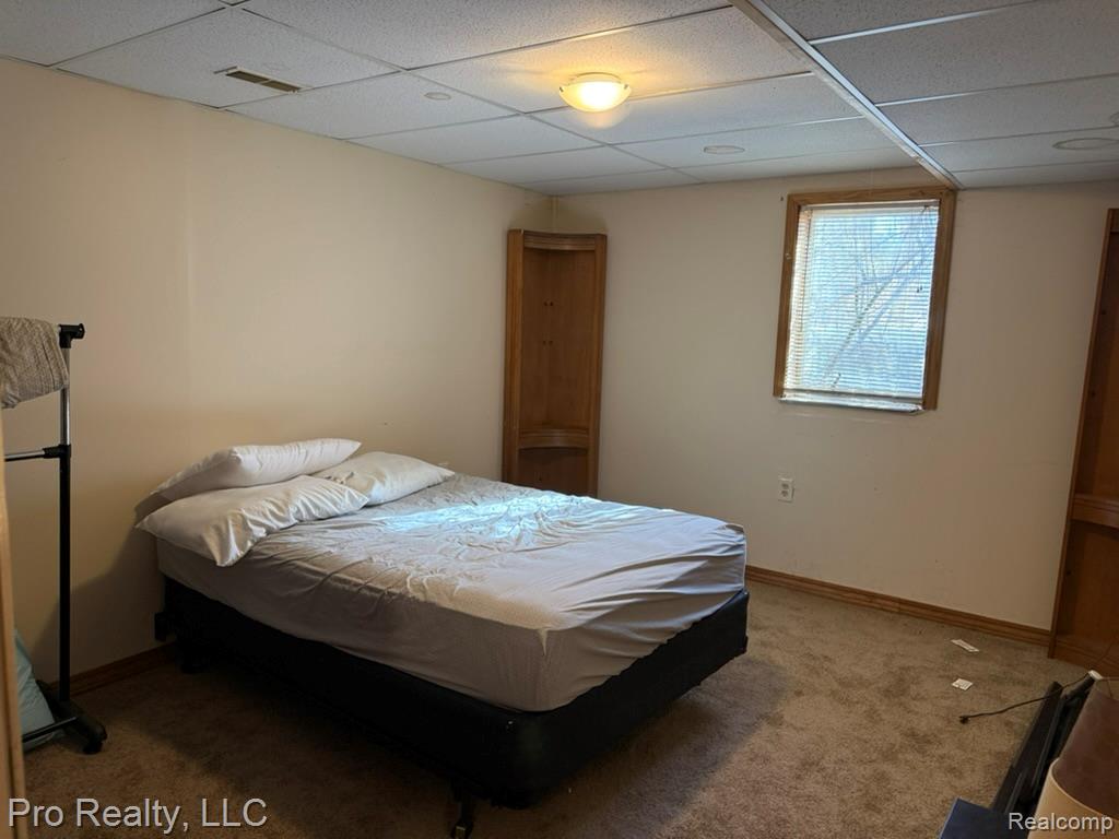 4976 Schott Road NE, Mayville Vlg, MI 48744 — Photo 14