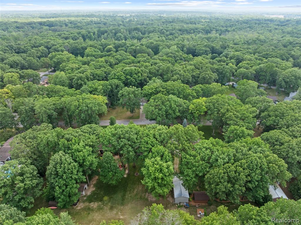 13256 Pine Valley Drive, Clio, MI 48420 — Photo 9