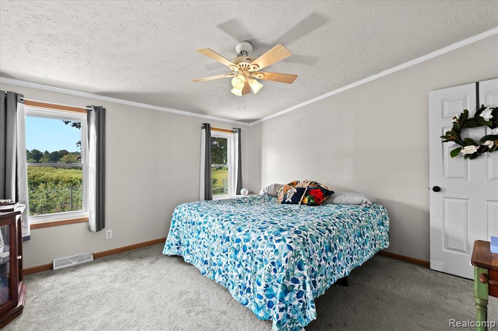 971 RED CEDAR Drive, Howell, MI 48843 — Photo 12