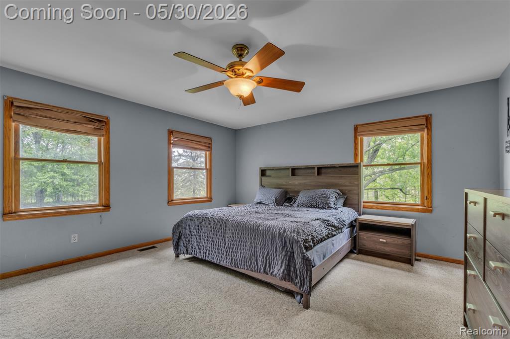 1345 Ives Road, Mason, MI 48854 — Photo 32