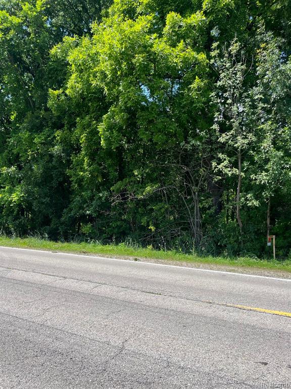 55815 BROUGHTON Road, Macomb, MI 48042 — Photo 9