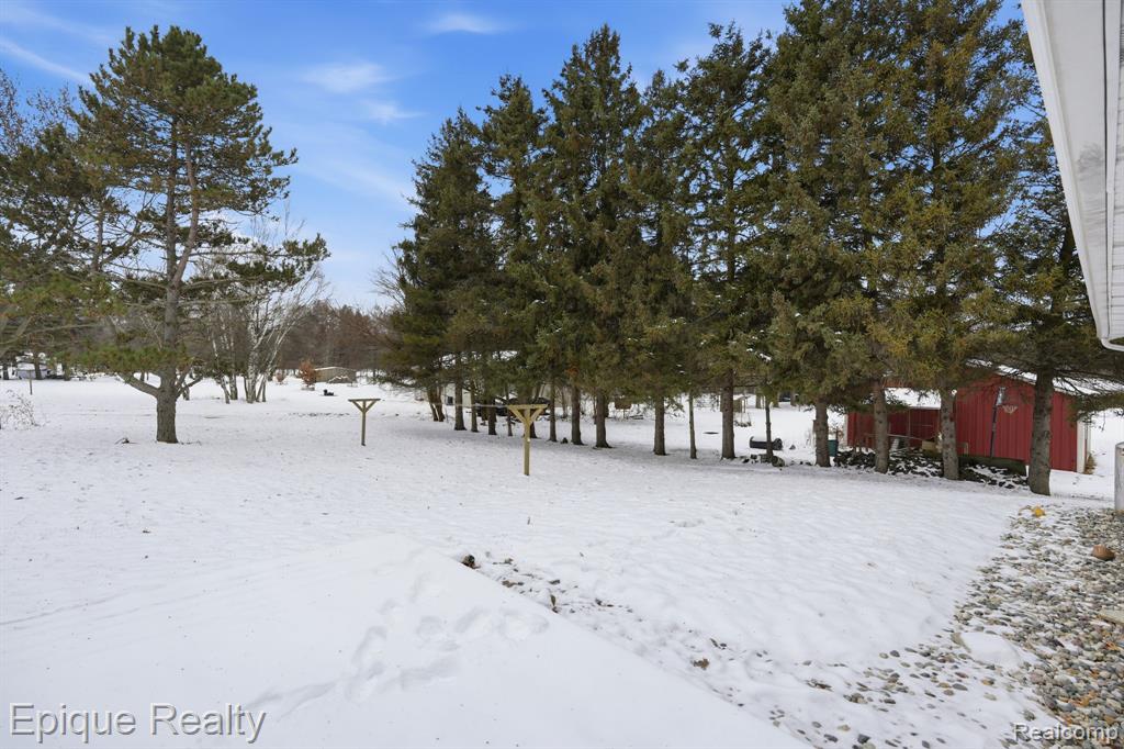 8511 Krouse Road, Ovid, MI 48866 — Photo 5