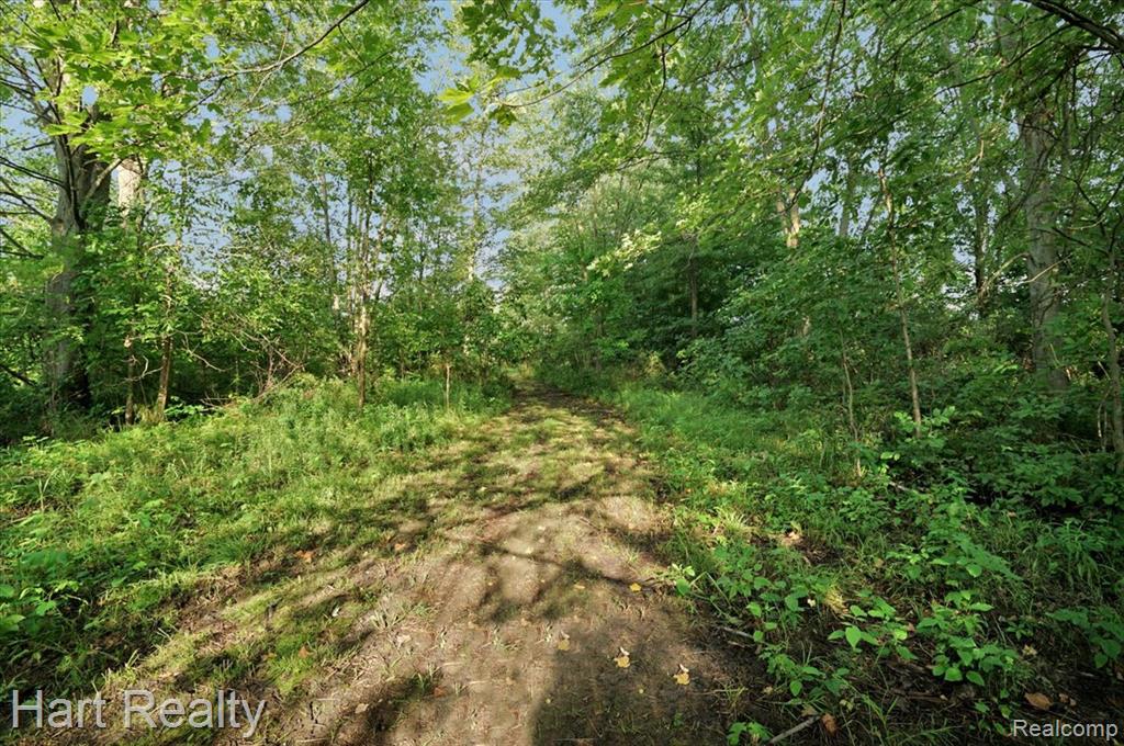 6767 Saint Marys Street, Brown, MI 48416 — Photo 27