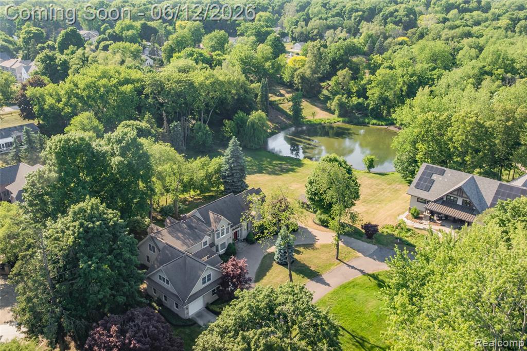 905 Spring Drive, Northville, MI 48167 — Photo 11