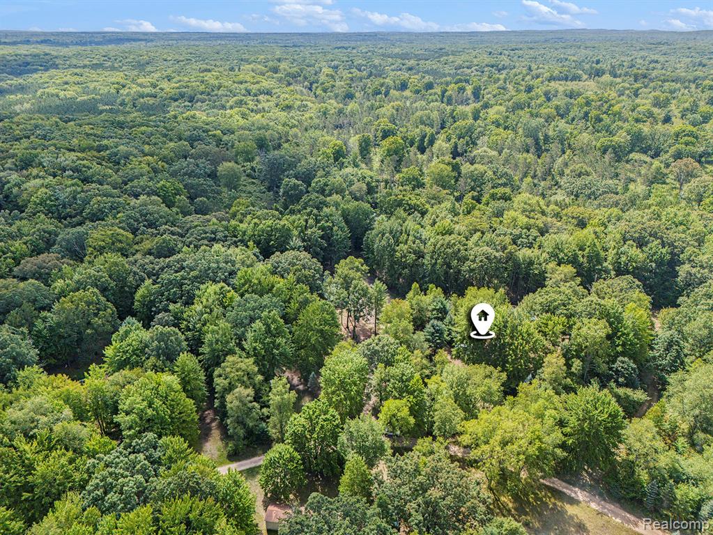 4977 E Buck Rub Road, Custer, MI 49405 — Photo 31