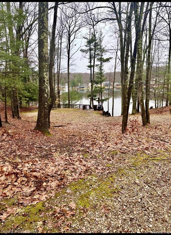229 Forest Trail, Leroy, MI 49655 — Photo 6