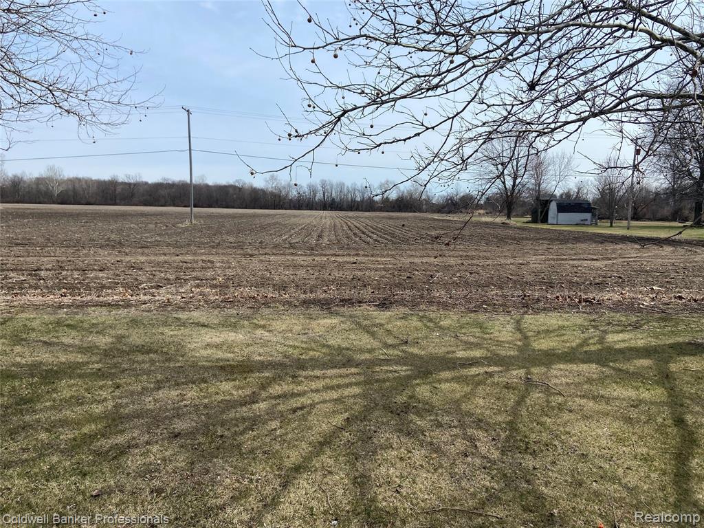 8705 Whittaker Road, Ypsilanti, MI 48197 — Photo 5