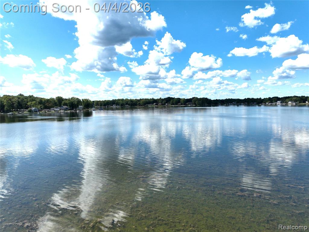 9658 Zukey Drive, Pinckney, MI 48169 — Photo 27