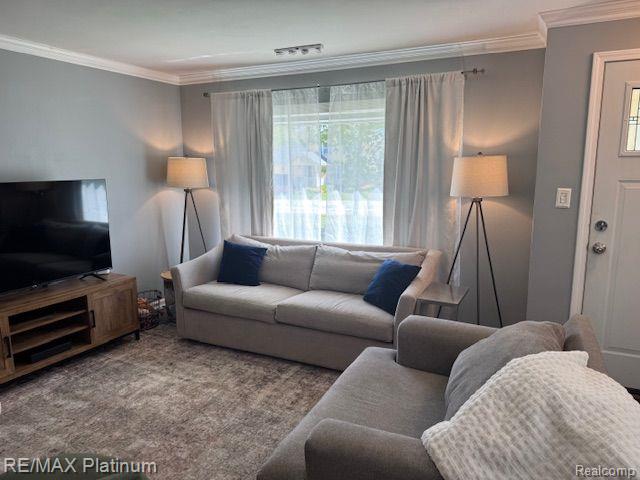 415 CRYSTAL Street, Milford, MI 48381 — Photo 10