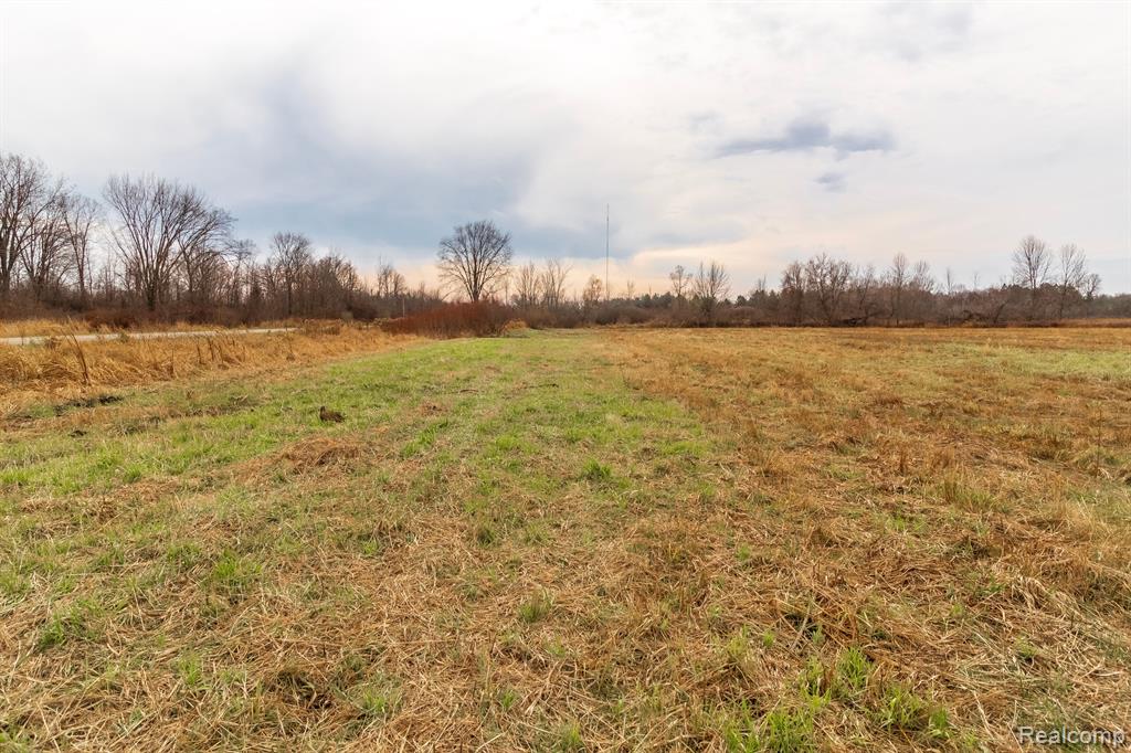VL Roods Lake Road, Lapeer, MI 48446 — Photo 4