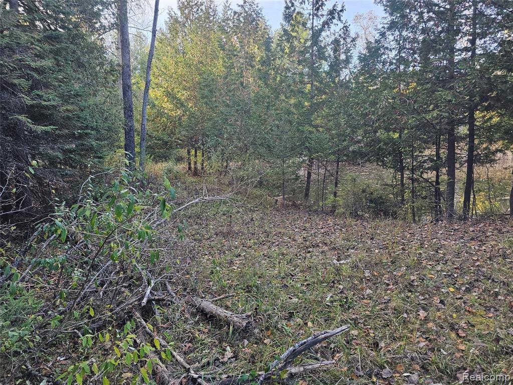 4901 M-55, Tawas City, MI 48763 — Photo 26