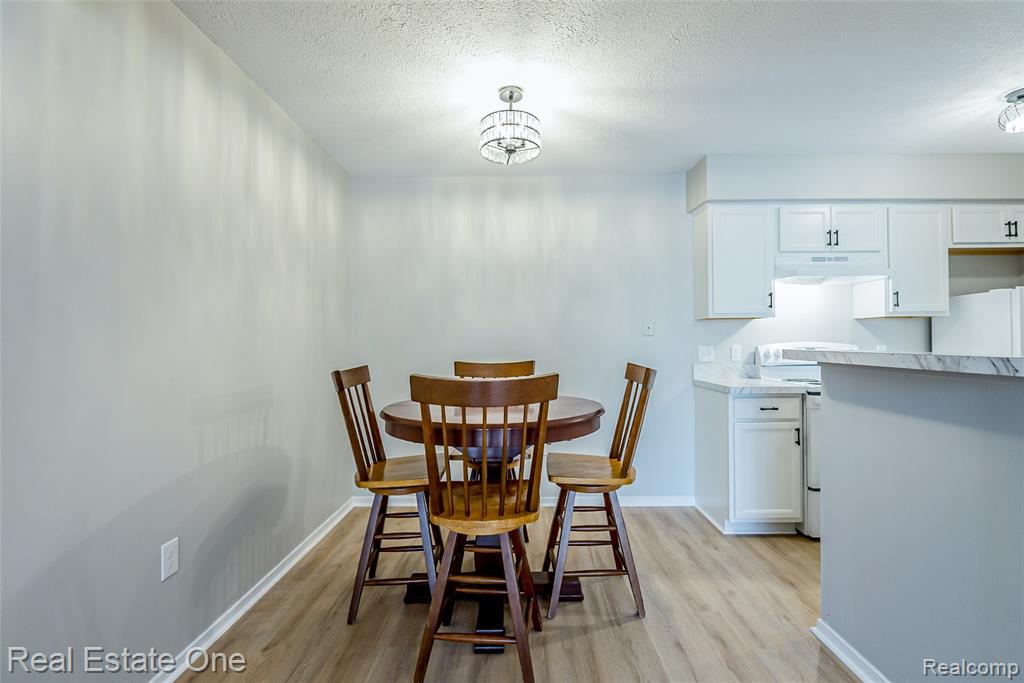 410 Spring Brooke Drive, Brighton, MI 48116 — Photo 7