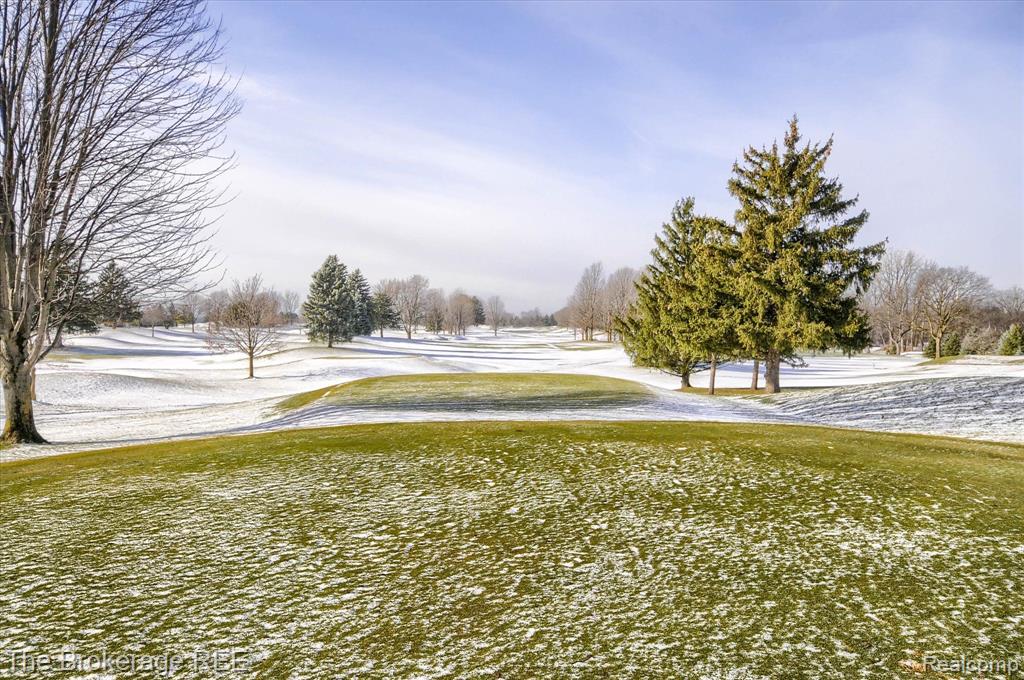 940 FLINT Street, Frankenmuth, MI 48734 — Photo 21