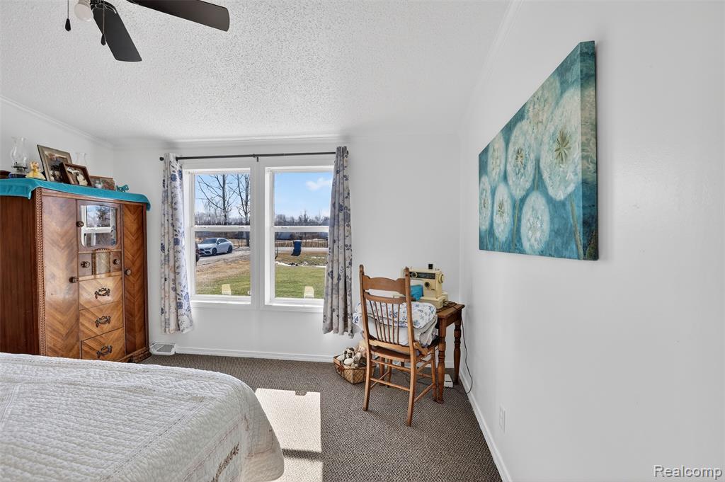700 Obrien Road, Mayville Vlg, MI 48744 — Photo 15
