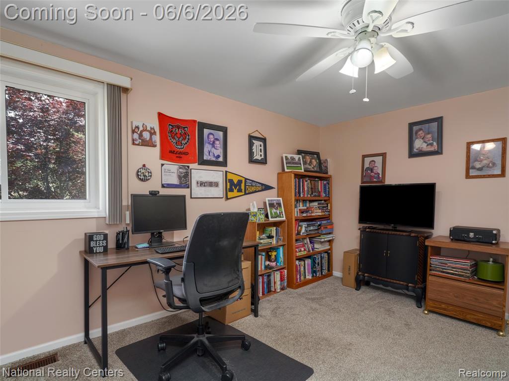 45420 Harmony Lane, Belleville, MI 48111 — Photo 30