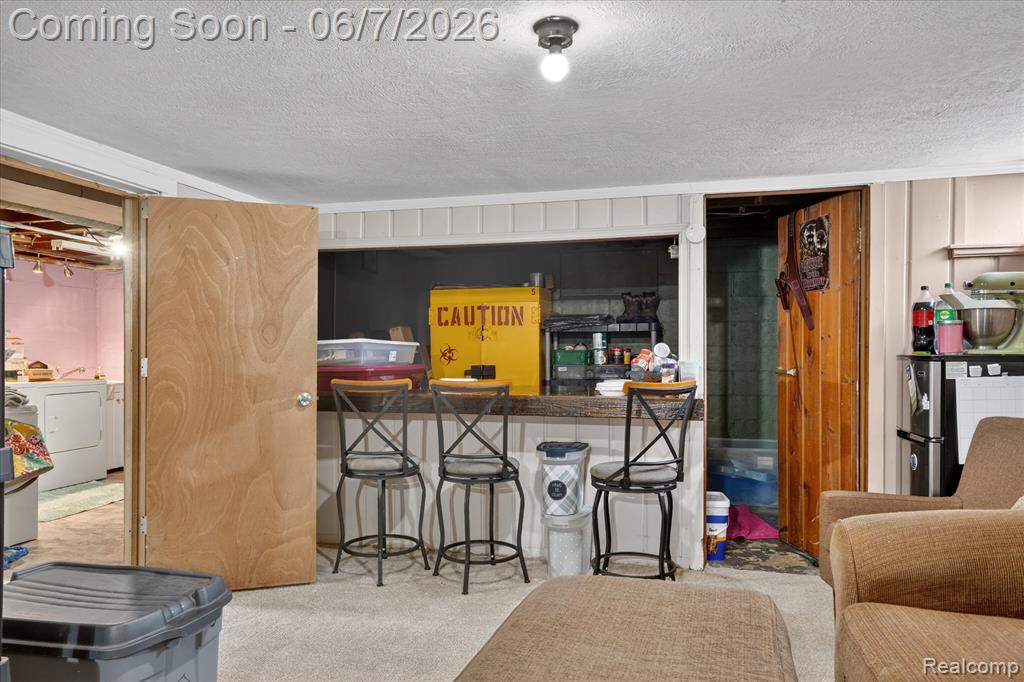 239 E Chestnut Street, Webberville, MI 48892 — Photo 31