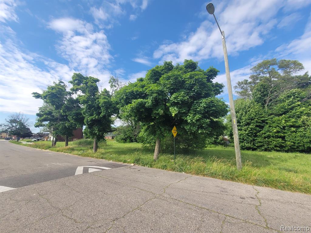4804 SHERIDAN Street, Detroit, MI 48214 — Photo 3