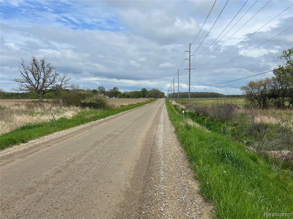 8145 Oatman Road, Greenwood, MI 48006 — Photo 3