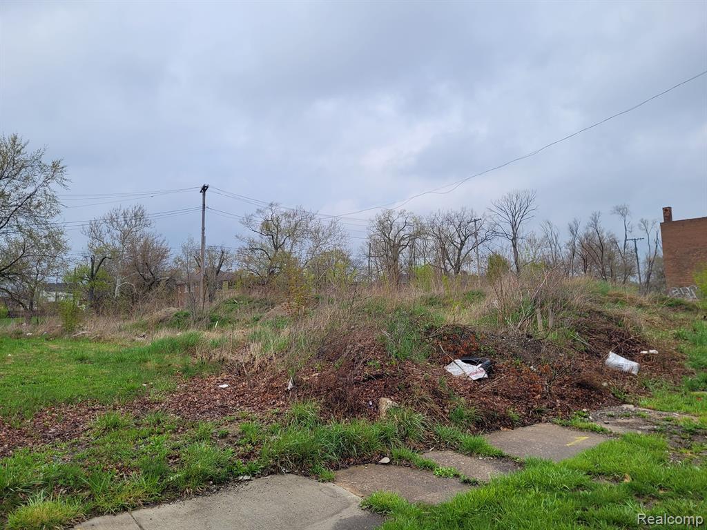 3324 ROCHESTER Street - Photo 2