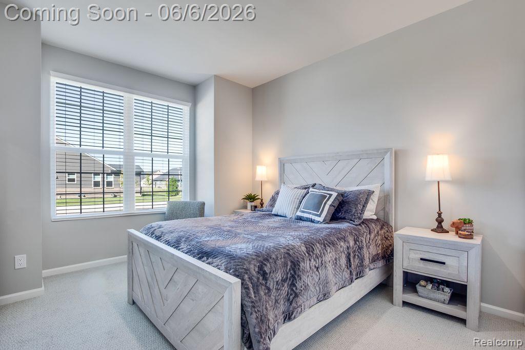 42504 ARBOR Drive, Clinton Twp, MI 48038 — Photo 17