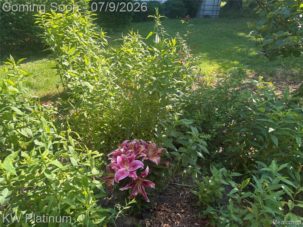 7280 North Road Road, Burtchville, MI 48059 — Photo 31