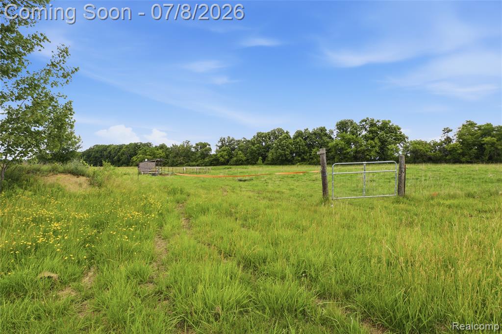 253 Park Street, Gaines Vlg, MI 48436 — Photo 22