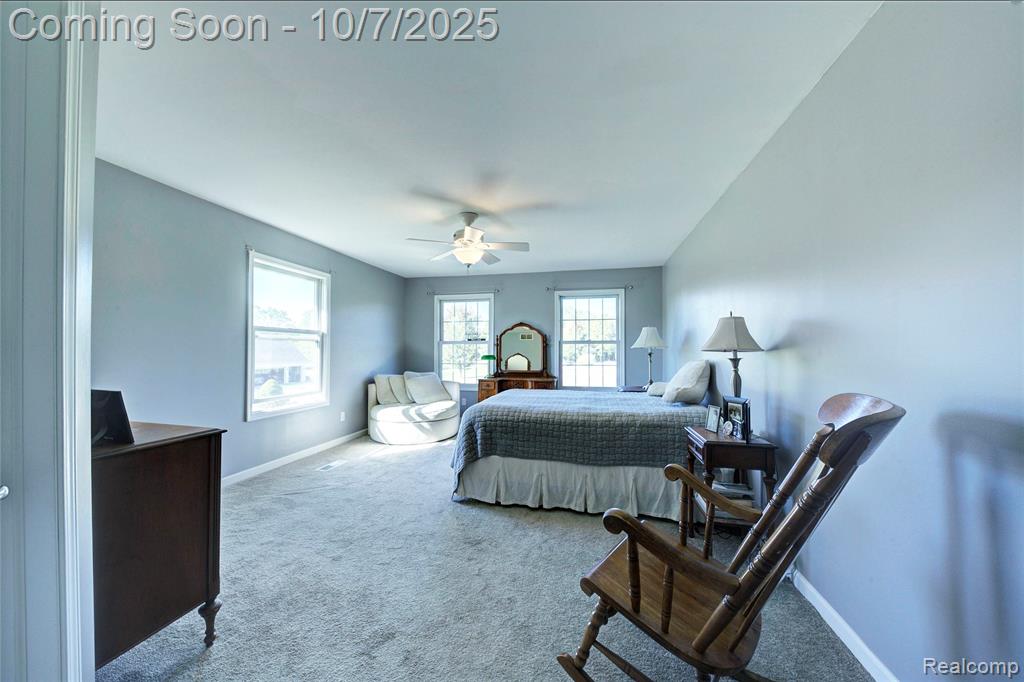 8660 Spicer Road, Brighton, MI 48116 — Photo 17