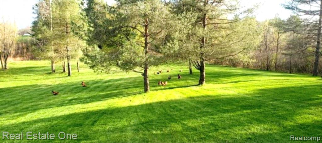 18403 Taylor Lake Road, Holly, MI 48442 — Photo 46