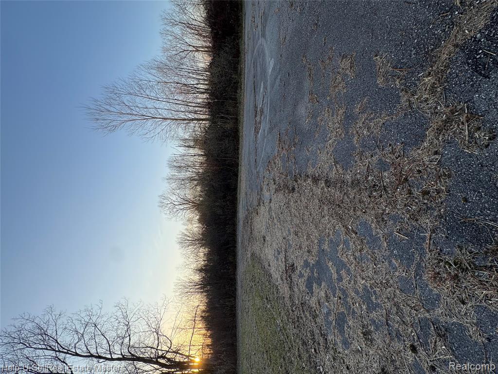 TBD Harris Road, Lakeport, MI 48059 — Photo 7