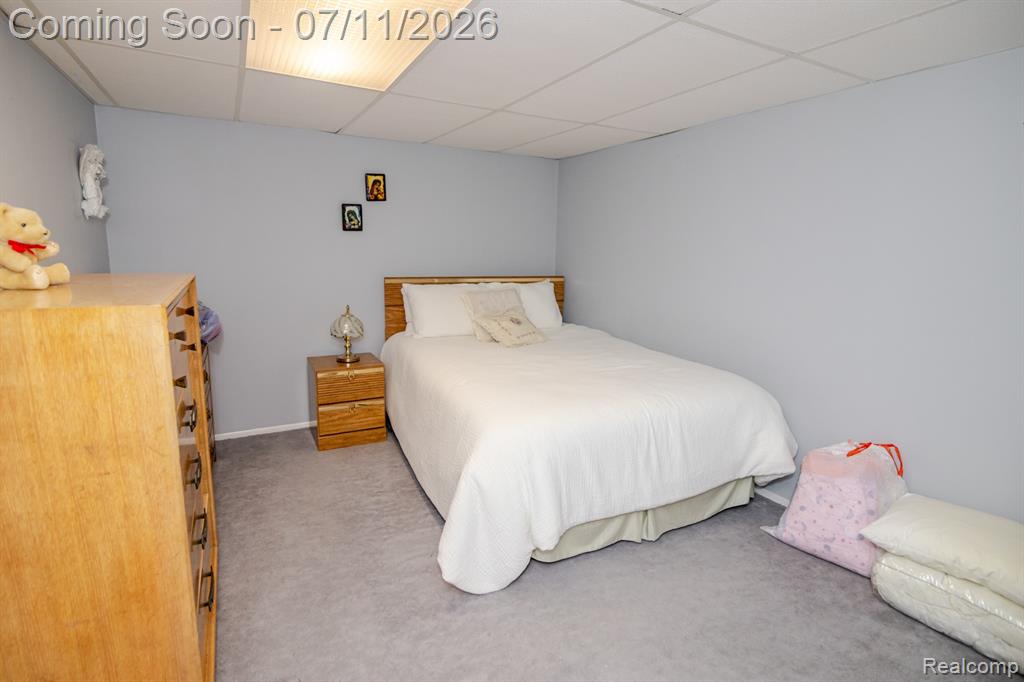 45630 White Oak Drive, Utica, MI 48315 — Photo 23