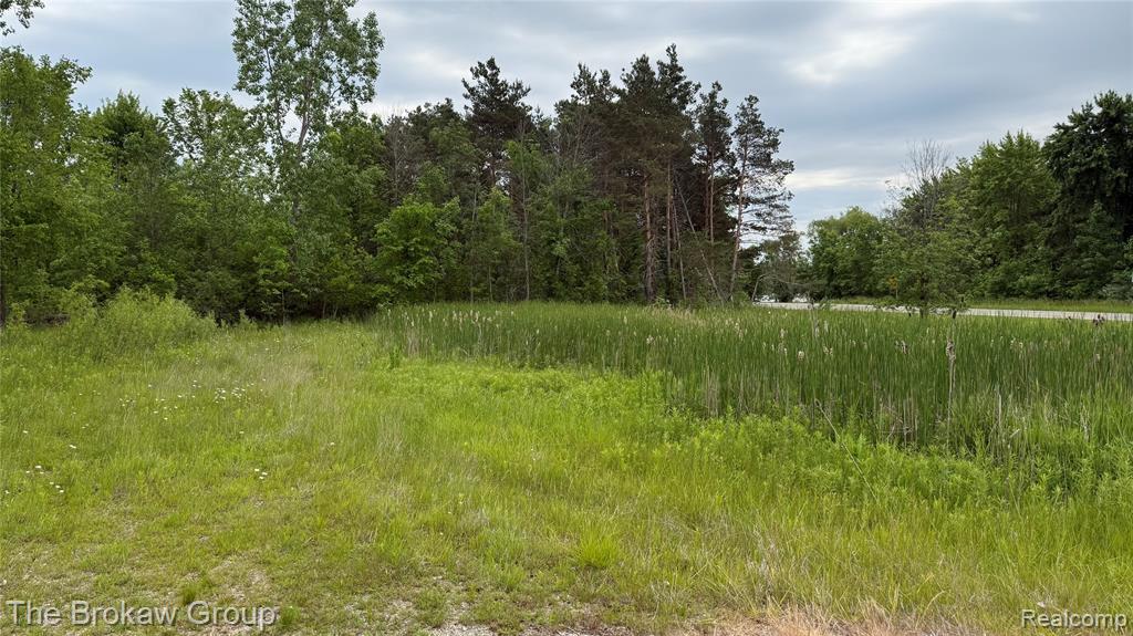 10696 Dunnigan Road, Emmett, MI 48022 — Photo 4