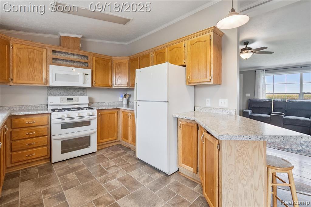 6095 Caro Road, Vassar, MI 48768 — Photo 10