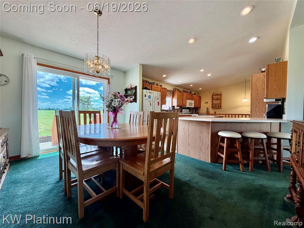 6069 Harris Road, Grant, MI 48032 — Photo 7