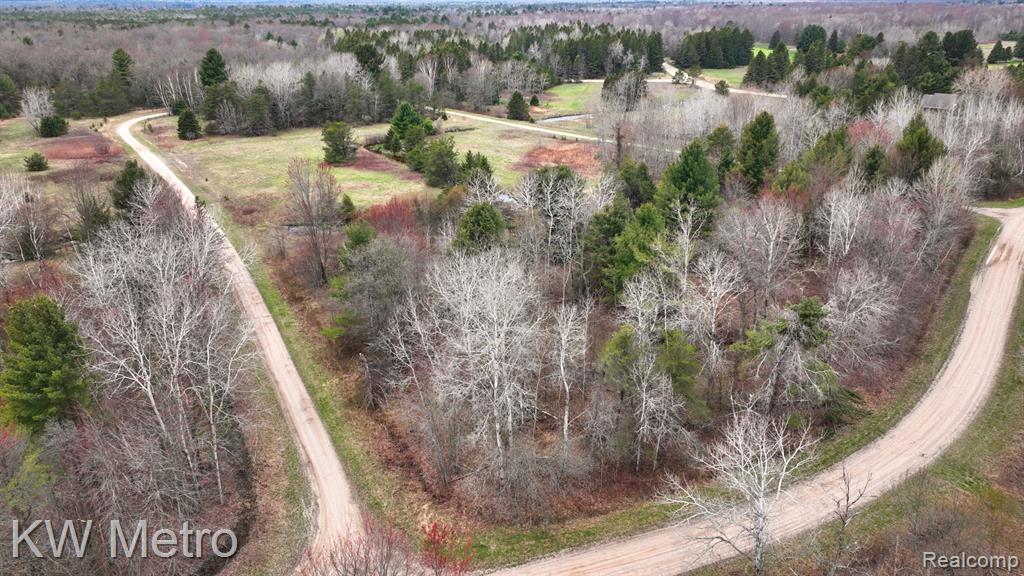 Lot 466 Tanglewood Drive, Oscoda, MI 48750 — Photo 2