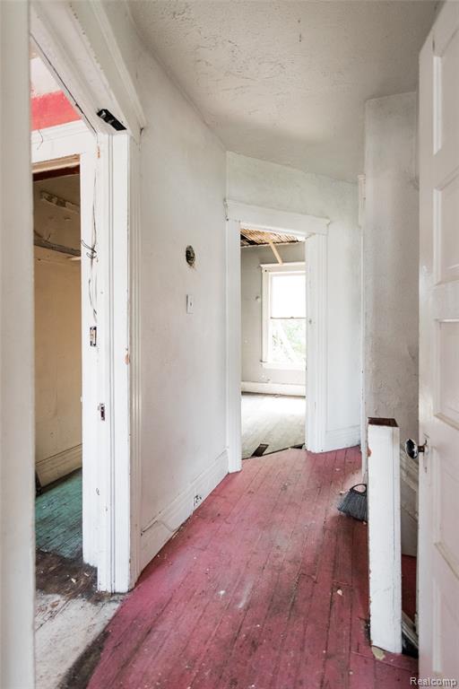 1731 Butternut Street, Detroit, MI 48216 — Photo 5