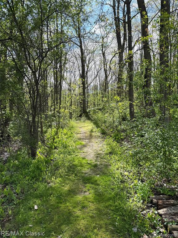 3699 Old Plank Road, Milford, MI 48381 — Photo 29