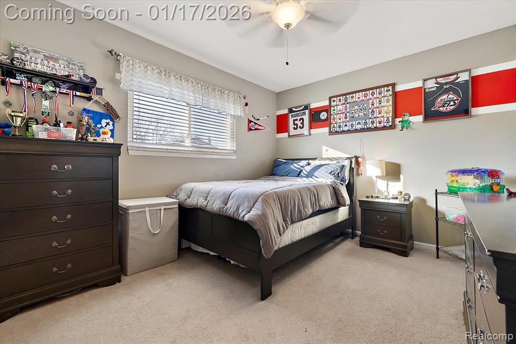 46621 Apple Lane, Macomb, MI 48044 — Photo 23