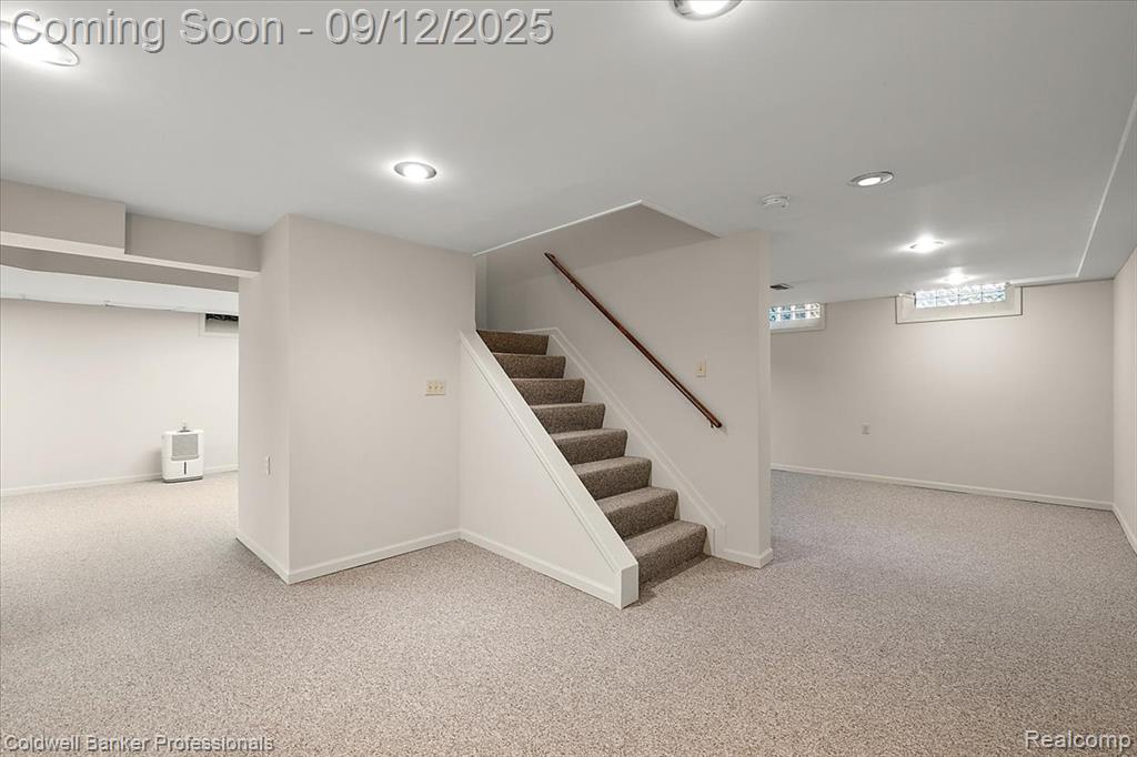 49238 Plum Tree Drive, Plymouth, MI 48170 — Photo 55