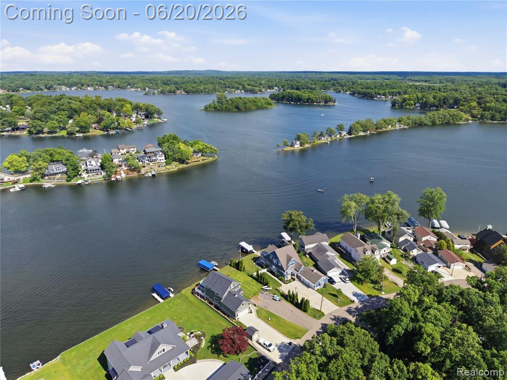 16289 Whitehead Drive, Linden, MI 48451 — Photo 66