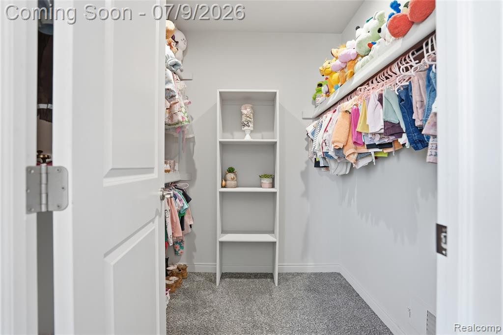 11963 Forest Brook Drive, Washington, MI — Photo 58