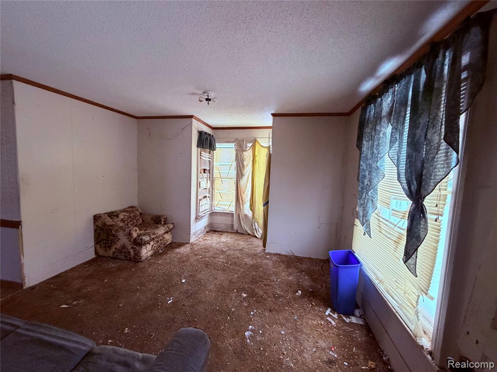 6456 3rd Street, Cass City, MI 48726 — Photo 4