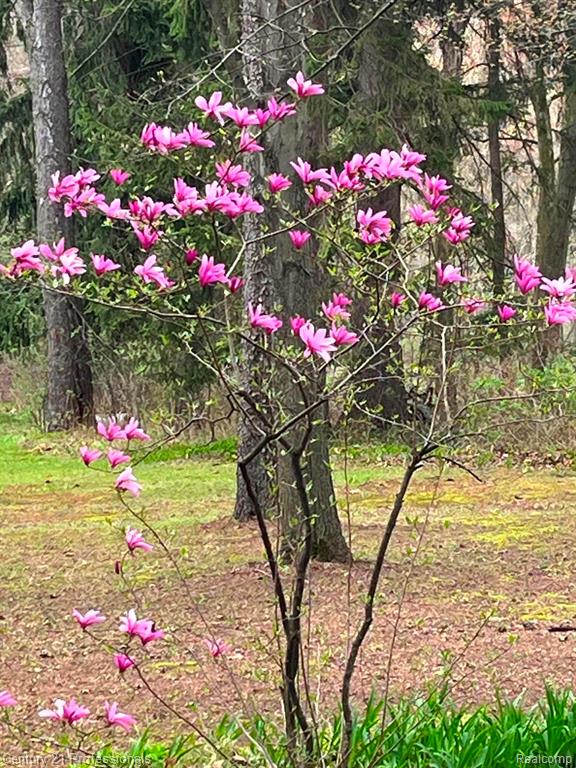 8638 Stone Road, Clay, MI 48001 — Photo 52