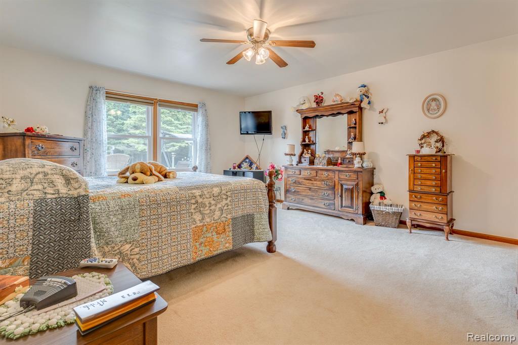 7571 BROCKWAY Road, Melvin, MI 48454 — Photo 14