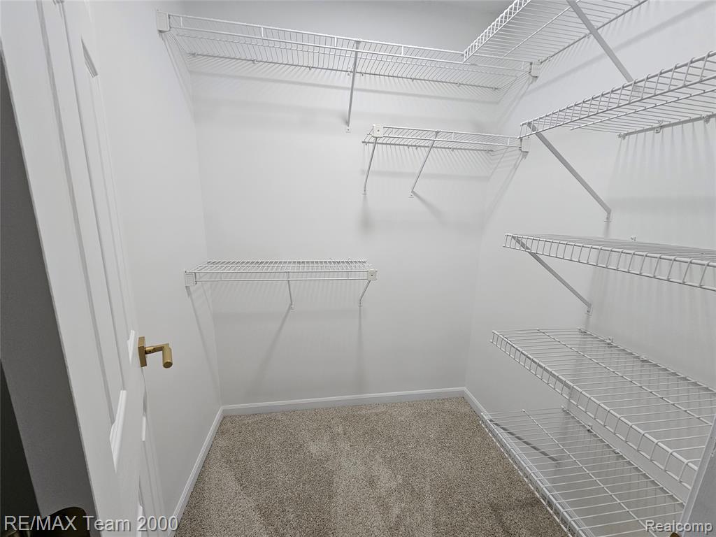 23237 Evan Court, New Boston, MI 48164 — Photo 46
