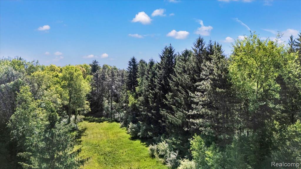 6250 Stine Road, Imlay City, MI 48444 — Photo 61