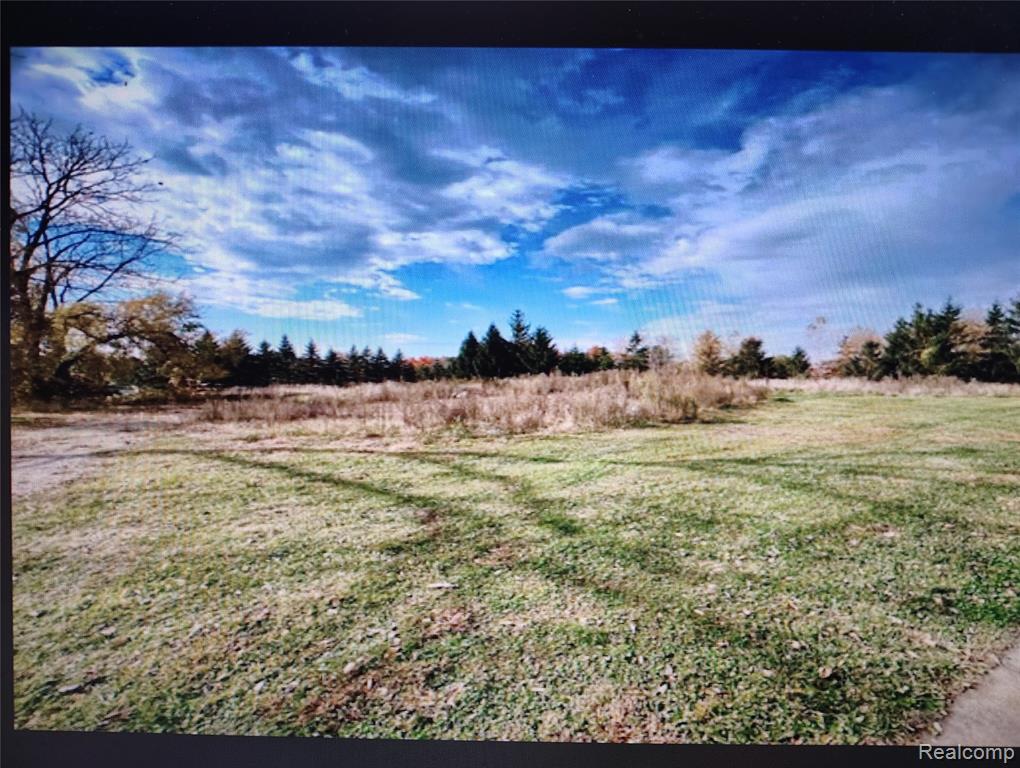 141 W Elizabeth Street, Lake Orion, MI 48362 — Photo 4