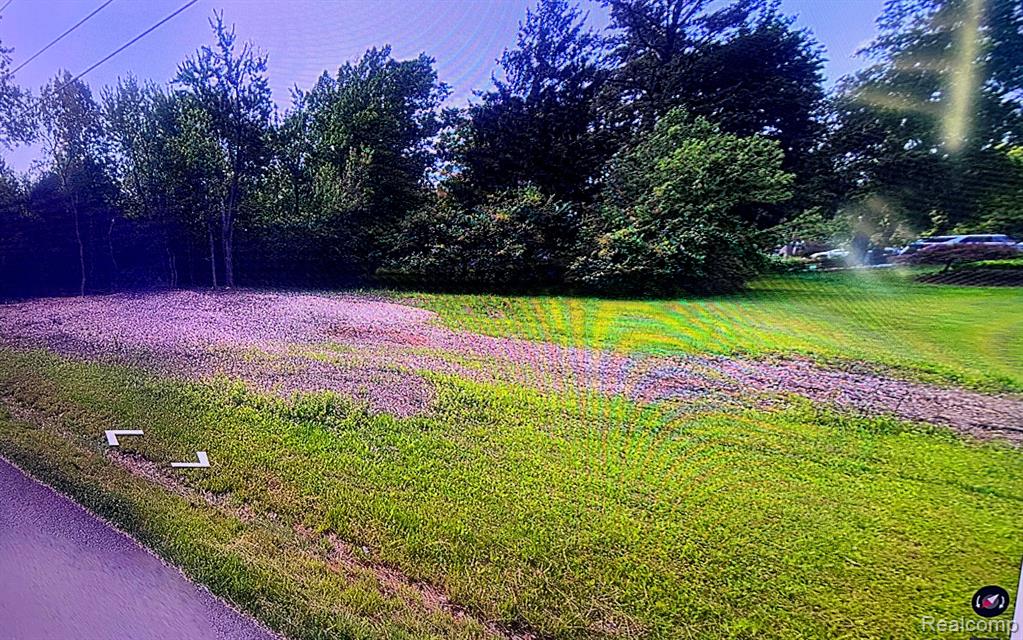 none available S Rockdale Avenue N, Farmington Hills, MI 48336 — Photo 2