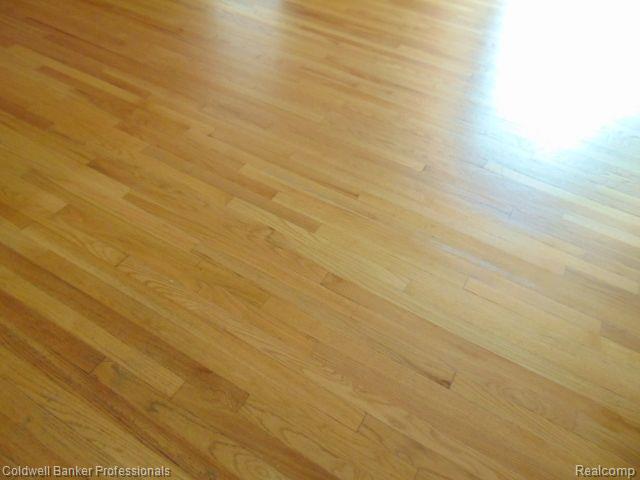 554 Merritt Lane, Birmingham, MI 48009 — Photo 9