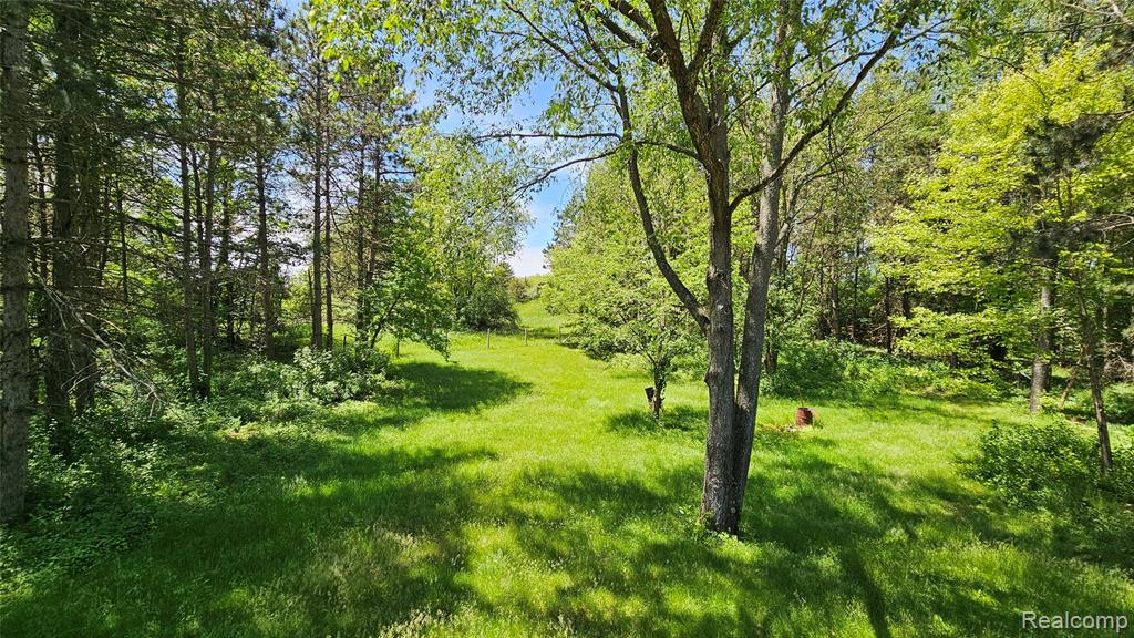 6790 Hinchey Road, Pinckney, MI 48169 — Photo 35