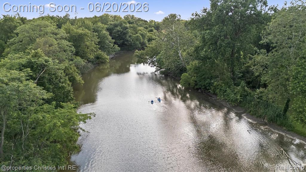 595 Ridge Point Drive, Dundee, MI 48131 — Photo 59
